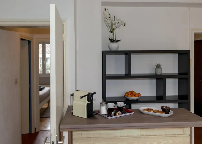 La Nuit Des Artistes - Spacious - Stade Toulousain *